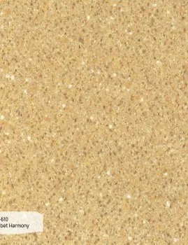 e 610 