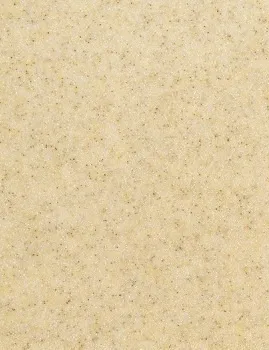 s 205 