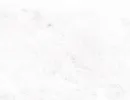 calacatta bianco