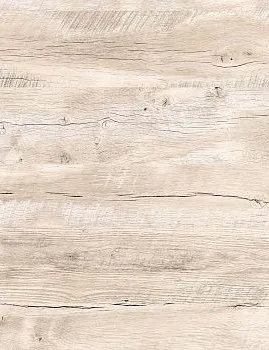 canadian oak