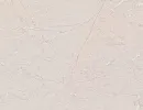 corinfos