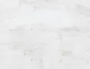 freestyle