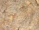 iolanta