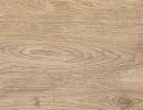 tacoma oak 8371 