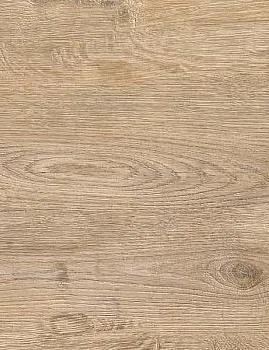tacoma oak 8371 