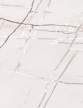 venus 8256 