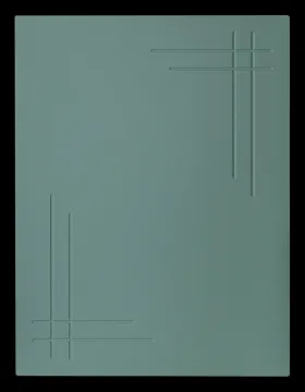 ФИДЖИ
