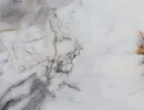 АЛЬБЕРИКА 189