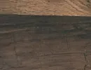 ДУБ КОРСИКА ТЕМНЫЙ 233