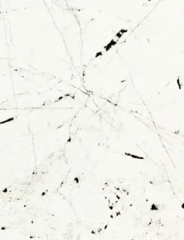 ПОЛЯРНАЯ ЗВЕЗДА 296