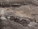 ПАЛАДИНА КОРИЧНЕВАЯ 261