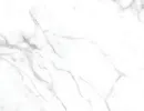 SP 289