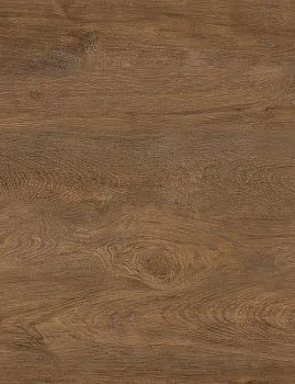 baltimore oak