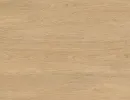 carpenter oak