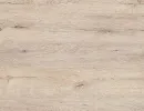 corsica oak