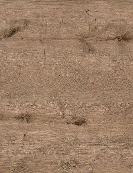 edinburgh oak