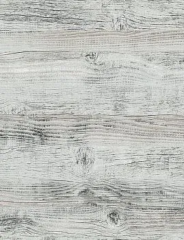 grigio pino