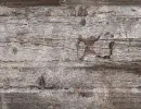grunge wood