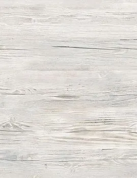 icy pine