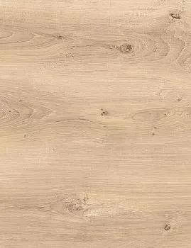 irish oak