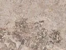 limestone
