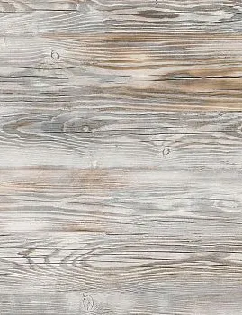 painted pine 8124 