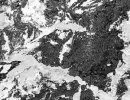 platanar