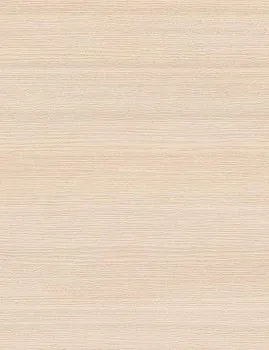 sandy arabica